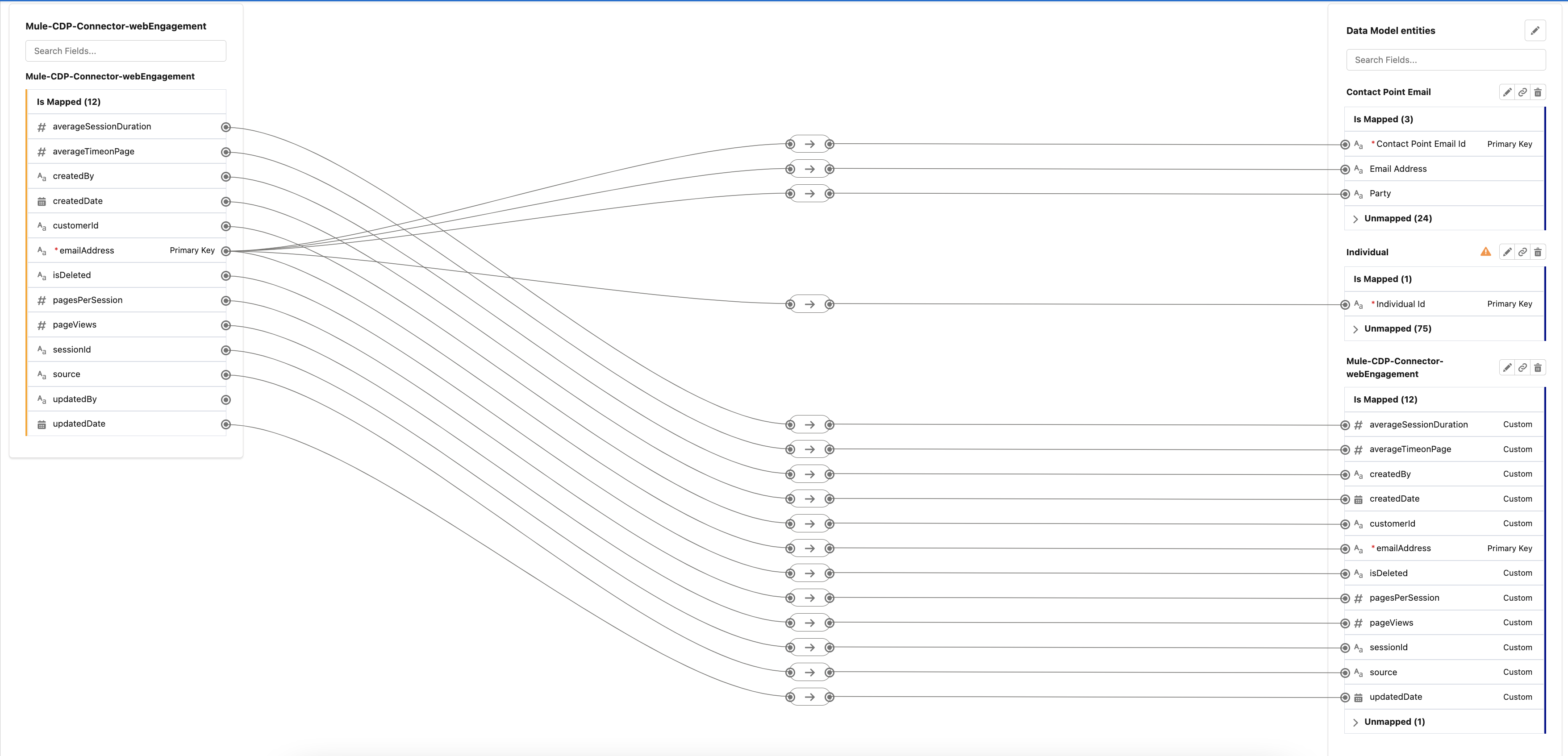 rcg-cdp-setup-custom-dmo-webengagement.png