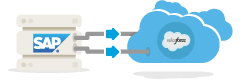 SAP to Salesforce Contact Broadcast icon