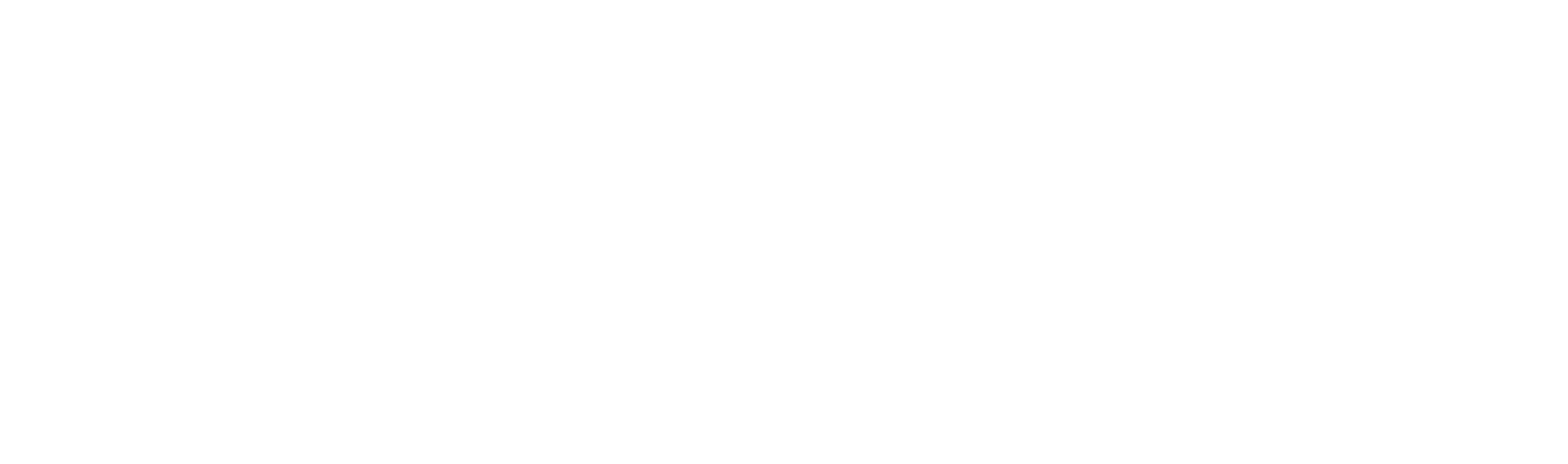 xeptor bv logo